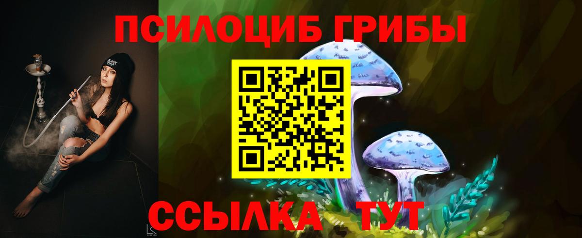 Псилоцибиновые грибы Cubensis Ишим